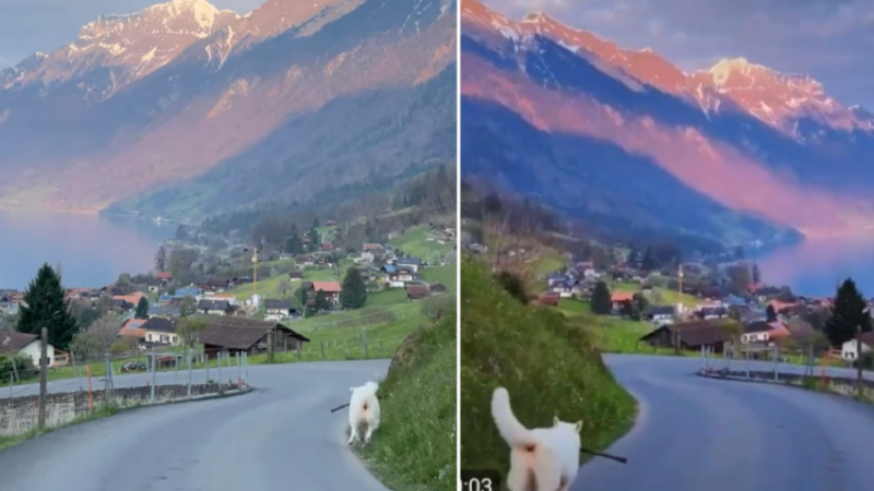 Kina tenton të paraqesë bukuritë e vendit me pamje nga Alpet Zvicërane: Kritikohet ashpër nga komentuesit