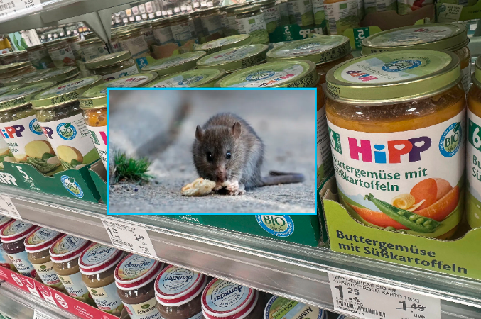 alarmante-dyshime-per-helm-minjsh-ne-ushqimin-hipp-per-foshnja