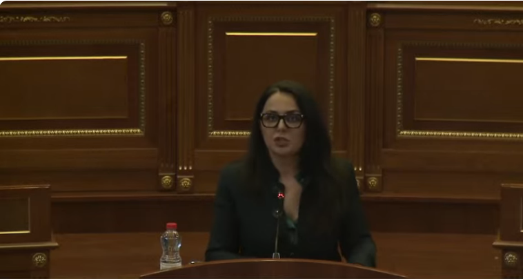 Lushaku: Rreth 87 për qind të shtëpive është duke u vjedhur energjia nga shteti