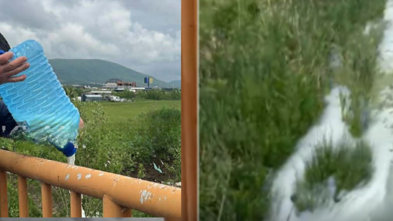 Të mllefosur me rënien e çmimit, fermerët e Kosovës e hedhin qumështin në kanal