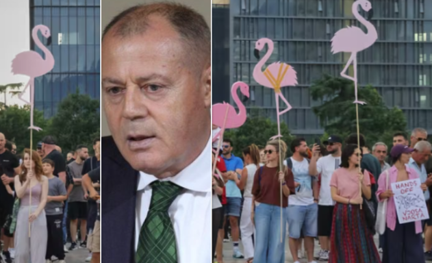 Shumë vonë  Muç Nano këshillon flamingot  Mbani distancë nga qentë e Hamasit e zagarët e Berishës