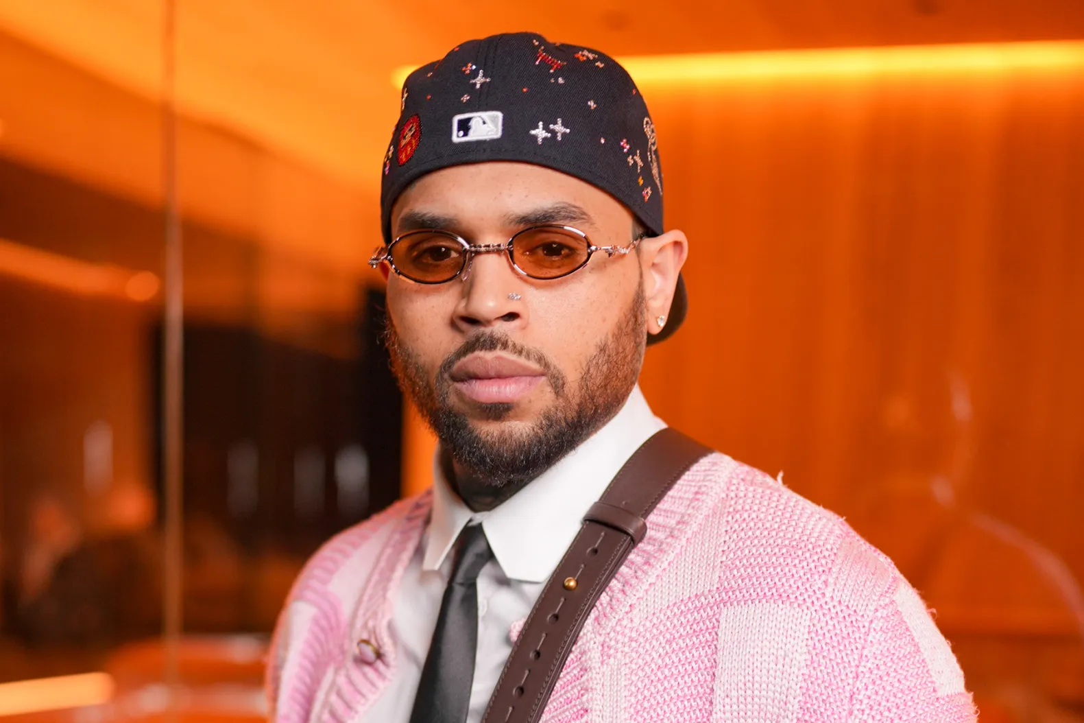 chris-brown-humb-rastin-me-sherbyesen-e-tij-ne-gjyq-i-detyrohet-demshperblim-pasi-ajo-u-sulmua-nga-qeni-i-tij