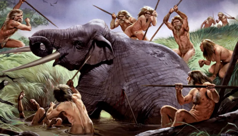 e-cuditshme-para-1-8-milione-vitesh-njerezit-thernin-elefante-per-ushqim