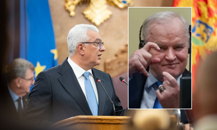 Partia Boshnjake kërkon shkarkimin e çetnikut Mandic që e çoi në qiell me lavde kriminelin Mladic