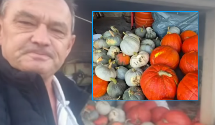 kungull-gjigant-mbi-32-kg-i-rritur-ne-kosove-kultivuesi-tregon-sekretin