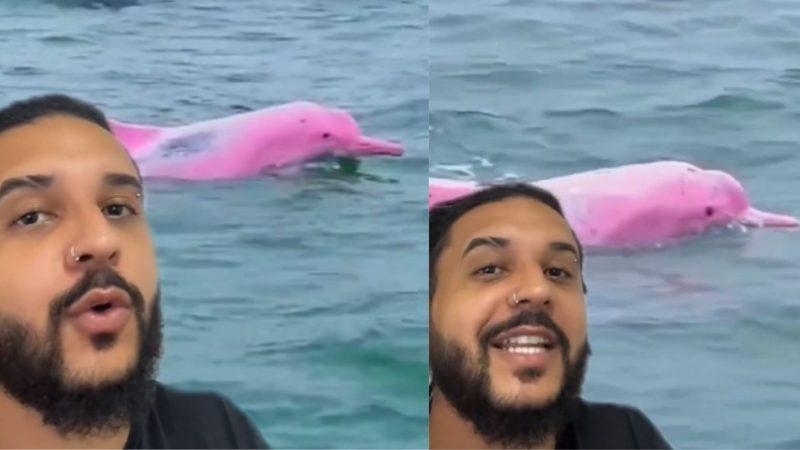 e-pazakonte-delfine-me-nuance-roze-shfaqen-prane-brigjeve-te-omanit
