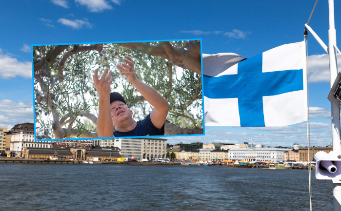 finlanda-fiton-kampionatin-boteror-te-vjeljes-se-ullinjve-ndonese-nuk-ka-asnje-peme-ulliri